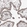 Anti-ORC1 Antibody