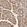 Anti-HECTD3 Antibody