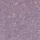Immunohistochemical staining of human tonsil shows low expression as expected.