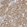 Anti-KYAT1 Antibody
