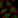 Anti-USP43 Antibody