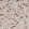 Anti-BCLAF1 Antibody