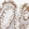 Anti-NEO1 Antibody