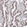 Anti-IRF2BP2 Antibody