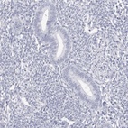 Immunohistochemical staining of human endometrium shows low expression as expected.