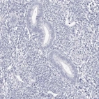 Immunohistochemical staining of human endometrium shows low expression as expected.