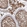 Anti-CDK5RAP3 Antibody