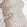 Anti-CTNNBL1 Antibody