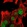 Anti-RTCA Antibody