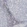 Anti-METTL11B Antibody