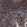 Anti-DTNBP1 Antibody