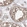 Anti-CDCA8 Antibody