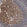 Anti-MSH6 Antibody