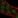 Anti-ATOH8 Antibody