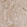 Anti-PRUNE1 Antibody