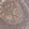 Anti-MSH6 Antibody