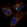 Anti-TFB2M Antibody