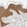 Anti-EIF4G1 Antibody