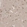 Anti-NENF Antibody