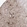 Anti-C1orf74 Antibody