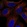 Anti-SNX27 Antibody