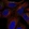Anti-SNX27 Antibody