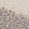 Anti-GPBP1L1 Antibody