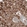 Anti-RAB11FIP3 Antibody