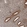 Anti-RAB11FIP3 Antibody