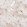 Anti-CHTOP Antibody