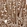 Anti-PRRC2C Antibody