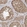 Anti-MTF1 Antibody