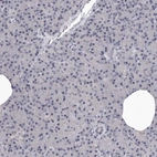 Immunohistochemical staining of human pancreas shows low expression as expected.
