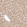 Anti-PPP1R3B Antibody