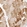 Anti-PPP1R3B Antibody
