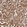Anti-FARS2 Antibody