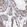 Anti-ELK4 Antibody