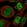 Anti-ZNF570 Antibody