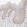 Anti-CD82 Antibody