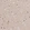 Anti-HDAC9 Antibody