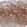 Anti-SMYD2 Antibody