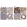 Anti-CARMIL1 Antibody