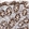 Anti-CARMIL1 Antibody