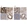 Anti-CARMIL1 Antibody