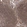 Anti-FBXO5 Antibody