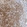 Anti-BPTF Antibody