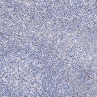 Immunohistochemical staining of human tonsil shows low expression as expected.