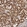 Anti-MRPS10 Antibody