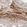 Anti-RAB23 Antibody