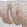 Anti-CTNNB1 Antibody
